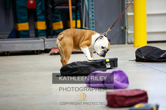 2022-KathleenRileyPhotography-7343