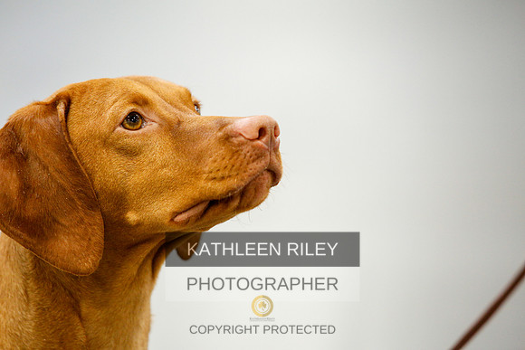 2022-KathleenRileyPhotography-9834