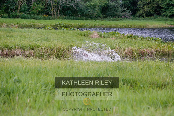 2022-KathleenRileyPhotography-3349