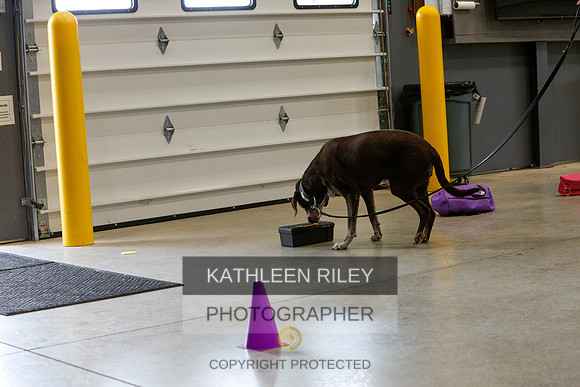 2022-KathleenRileyPhotography-5237