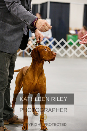 2022-KathleenRileyPhotography-1644