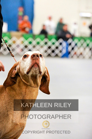 2022-KathleenRileyPhotography-8032