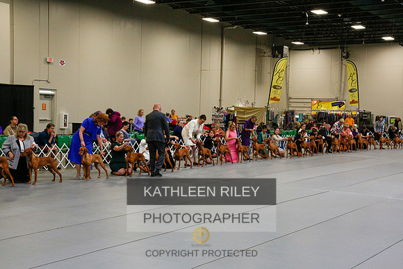 2022-KathleenRileyPhotography-6152