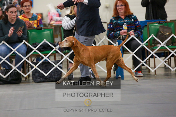 2022-KathleenRileyPhotography-7879