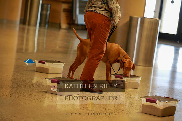 2022-KathleenRileyPhotography-7530
