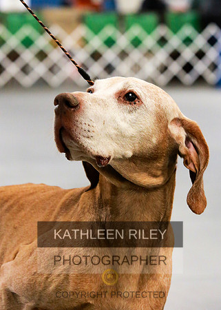 2022-KathleenRileyPhotography-8036