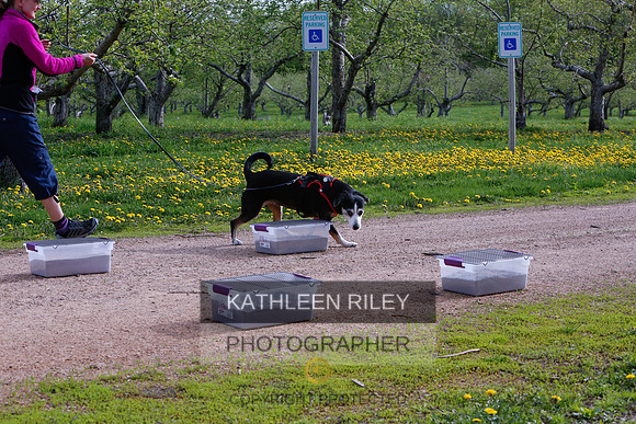 2022-KathleenRileyPhotography-8382