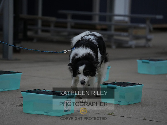 2022-KathleenRileyPhotography019