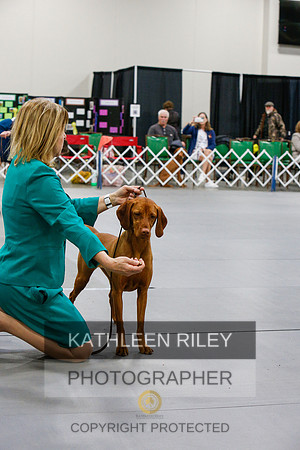 2022-KathleenRileyPhotography-7031