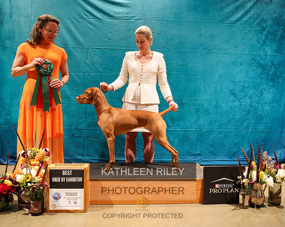 KARD7328