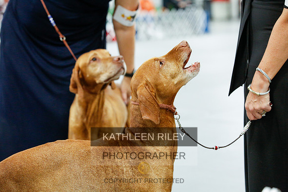 2022-KathleenRileyPhotography-0160