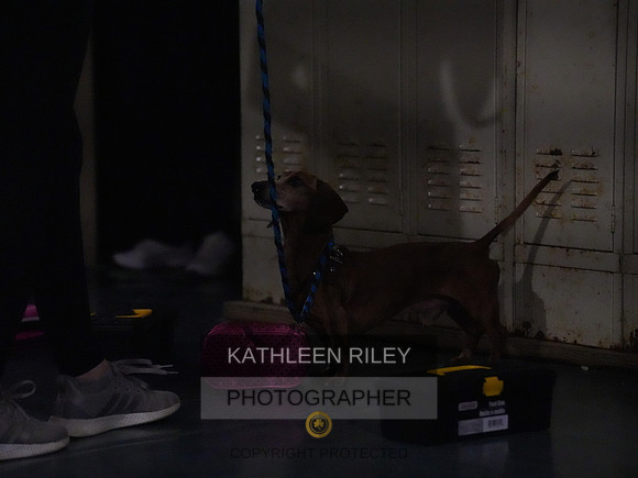 2022-KathleenRileyPhotography194