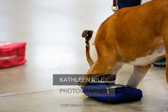 2022-KathleenRileyPhotography-7338