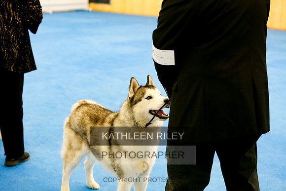 2022-KathleenRileyPhotography-8071