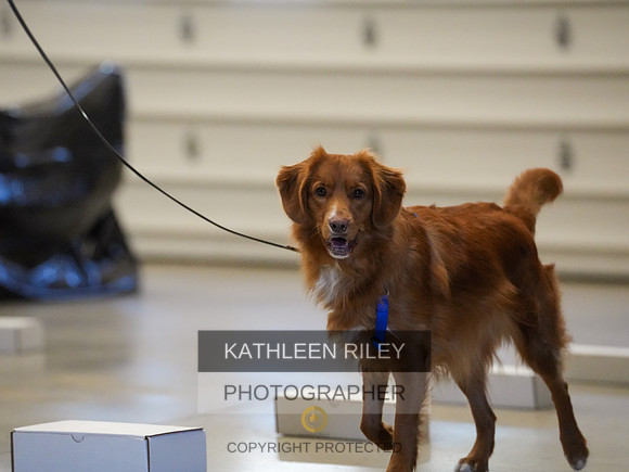 2022-KathleenRileyPhotography-03846