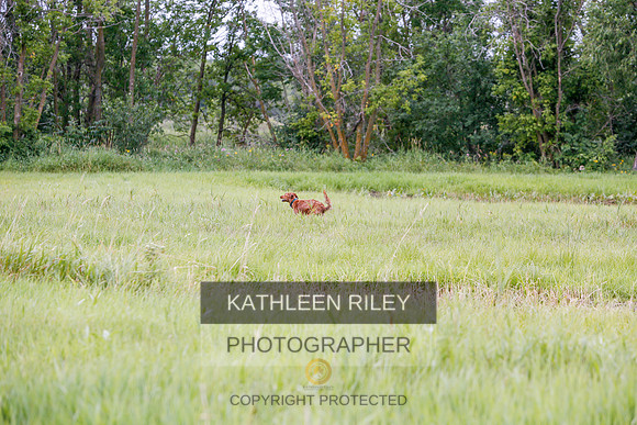 2022-KathleenRileyPhotography-3351
