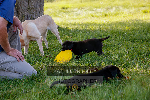 2022-KathleenRileyPhotography-5482
