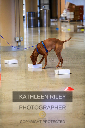 2022-KathleenRileyPhotography-7393