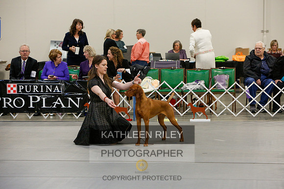2022-KathleenRileyPhotography-5777