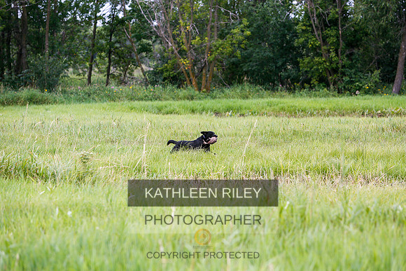 2022-KathleenRileyPhotography-3254