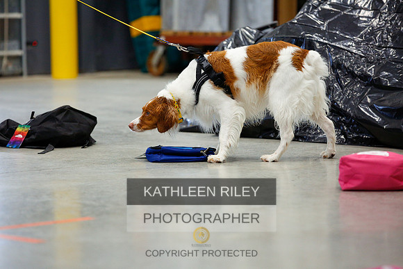 2022-KathleenRileyPhotography-7222