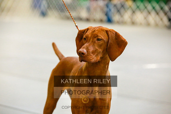 2022-KathleenRileyPhotography-8722