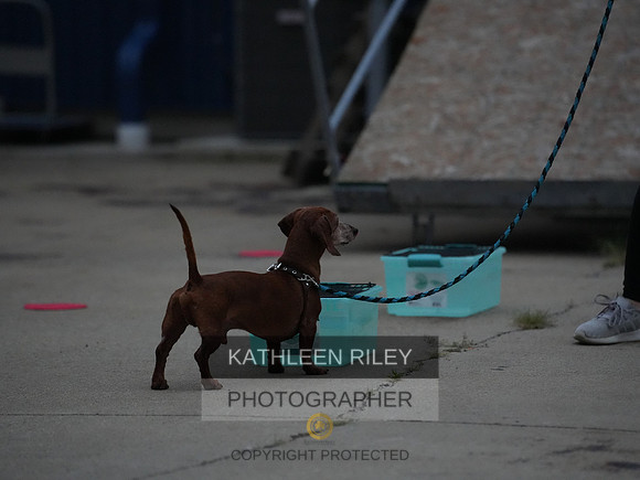 2022-KathleenRileyPhotography124