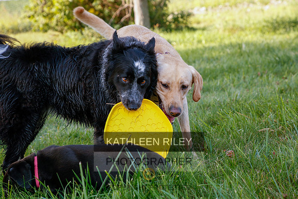2022-KathleenRileyPhotography-5563