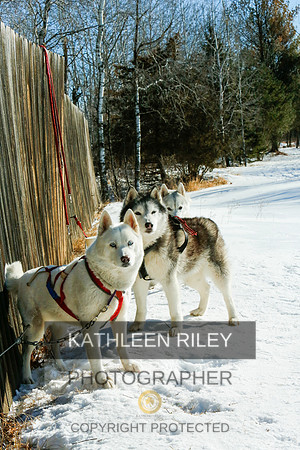 2022-KathleenRileyPhotography-7026