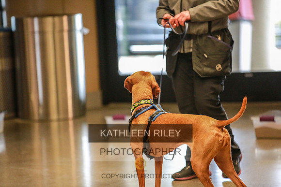 2022-KathleenRileyPhotography-7296
