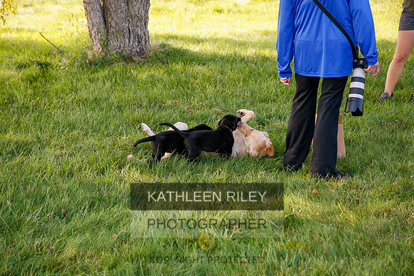 2022-KathleenRileyPhotography-5371
