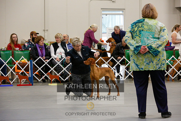2022-KathleenRileyPhotography-2236