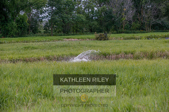 2022-KathleenRileyPhotography-3464