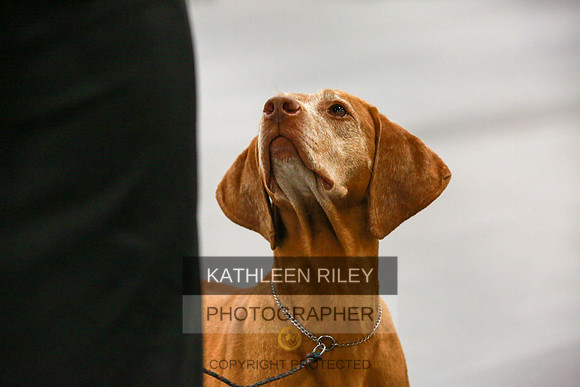 2022-KathleenRileyPhotography-8173