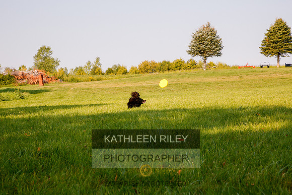 2022-KathleenRileyPhotography-5596