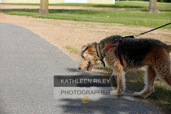 2022-KathleenRileyPhotography-3851