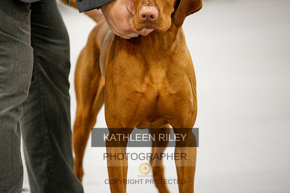2022-KathleenRileyPhotography-1643