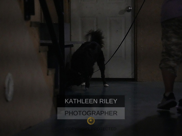 2022-KathleenRileyPhotography092