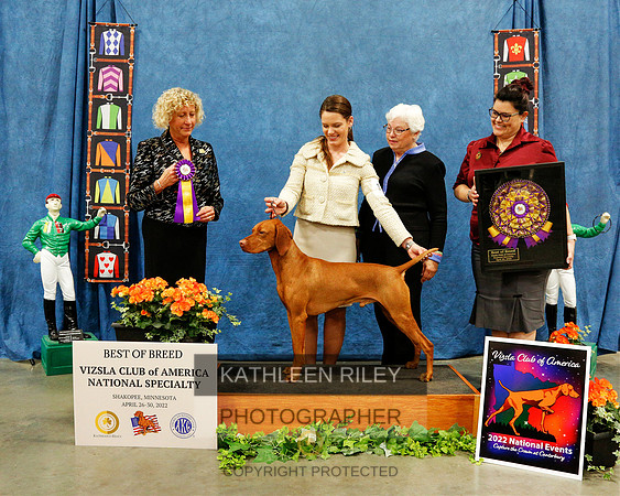 BOB-2022-KathleenRileyPhotography-7389 (3) (1)