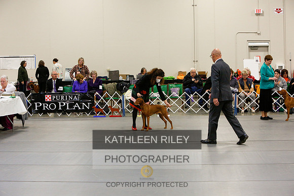 2022-KathleenRileyPhotography-5801