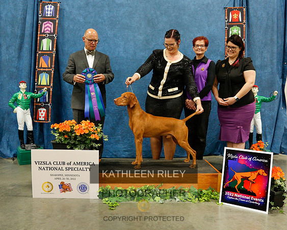 2022-KathleenRileyPhotography-6346