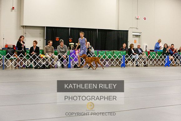 2022-KathleenRileyPhotography-5629