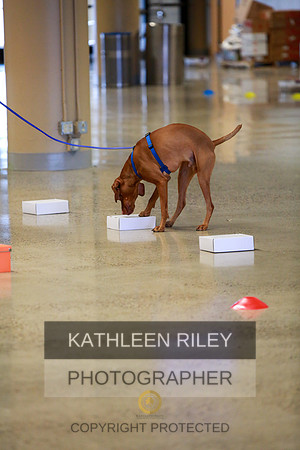 2022-KathleenRileyPhotography-7391