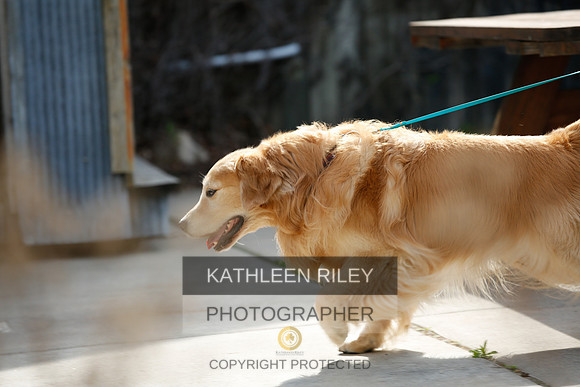 2022-KathleenRileyPhotography-2700