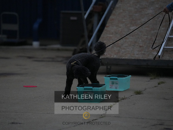 2022-KathleenRileyPhotography244