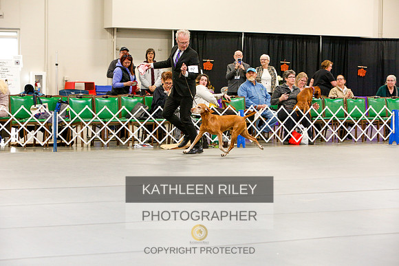 2022-KathleenRileyPhotography-3150