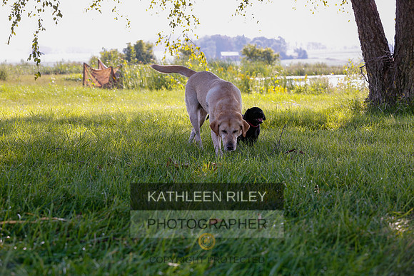 2022-KathleenRileyPhotography-7858