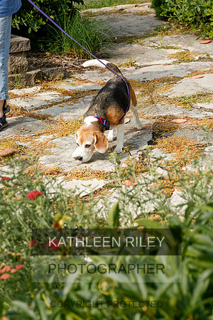 2022-KathleenRileyPhotography-9343