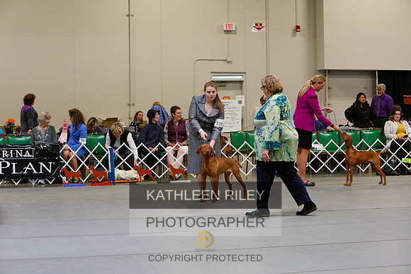2022-KathleenRileyPhotography-2596