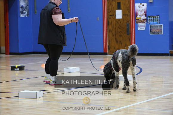 1N5A5050